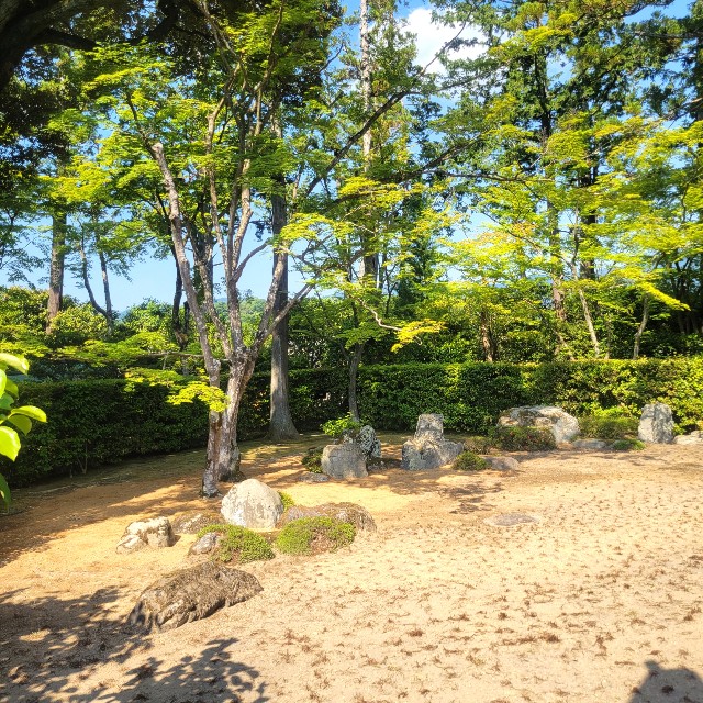 f:id:atoriatoriatori:20220602175720j:image f:id:atoriatoriatori:20220602175720j:image