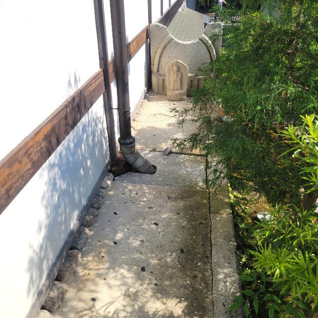 f:id:atoriatoriatori:20220602184812j:image f:id:atoriatoriatori:20220602184812j:image