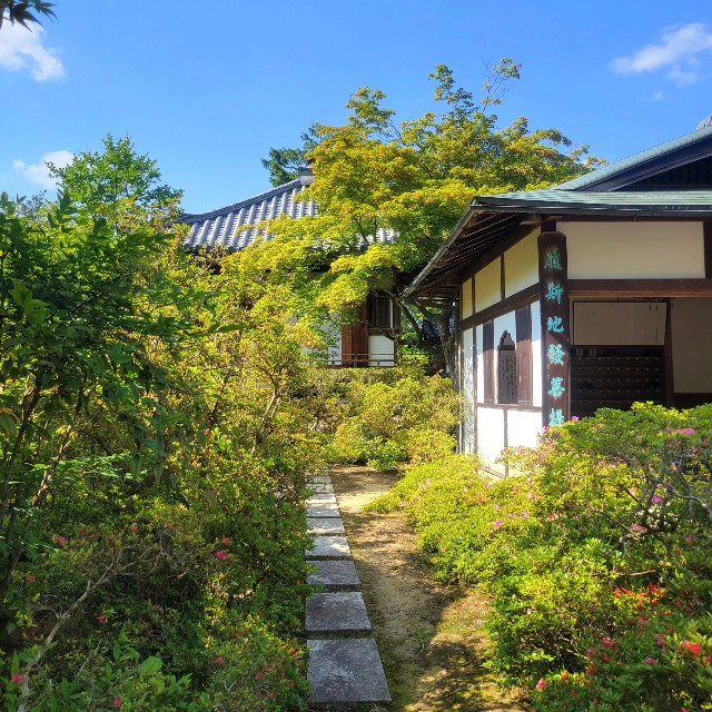 f:id:atoriatoriatori:20220602184823j:image f:id:atoriatoriatori:20220602184823j:image