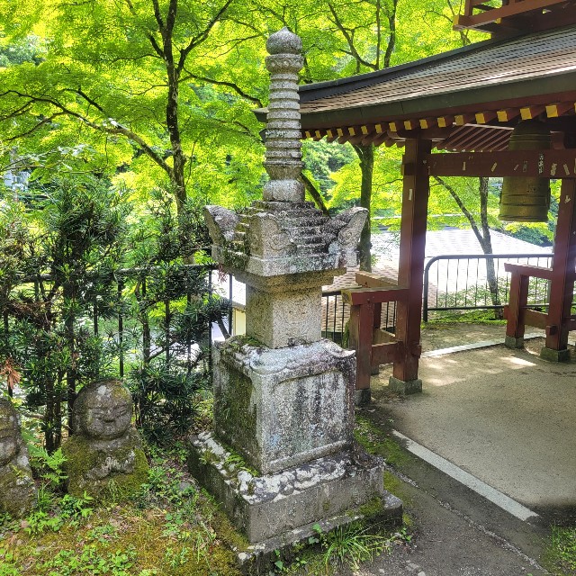 f:id:atoriatoriatori:20220610171939j:image