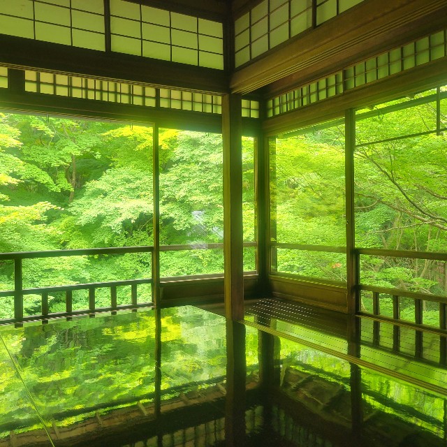 f:id:atoriatoriatori:20220611155439j:image
