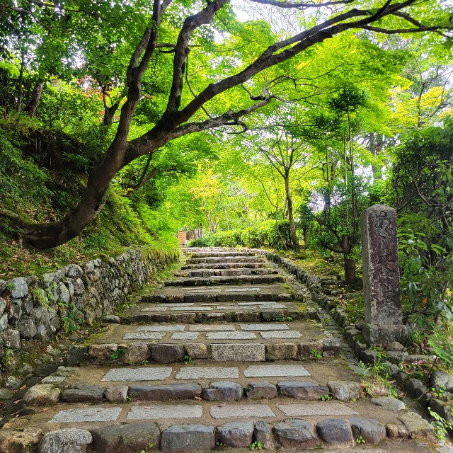 f:id:atoriatoriatori:20220613111722j:image