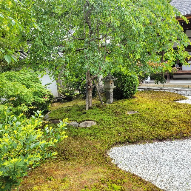f:id:atoriatoriatori:20220613182929j:image