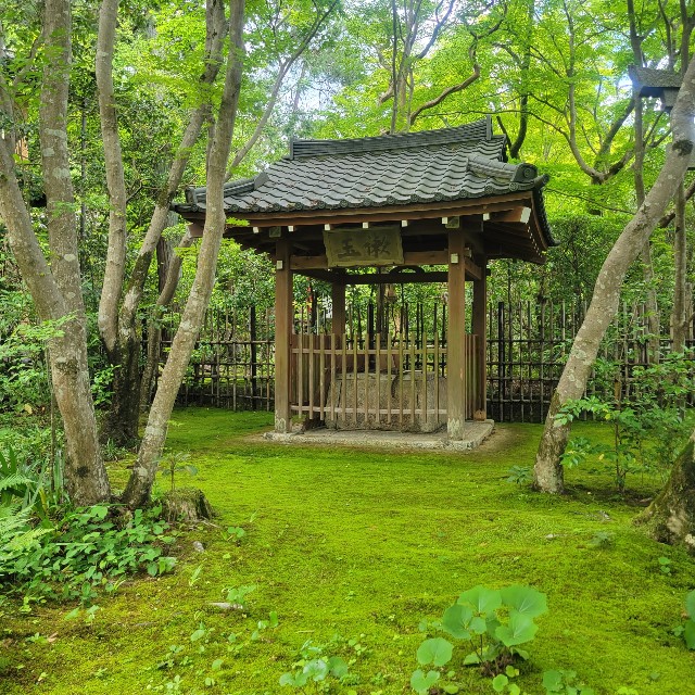 f:id:atoriatoriatori:20220623092731j:image