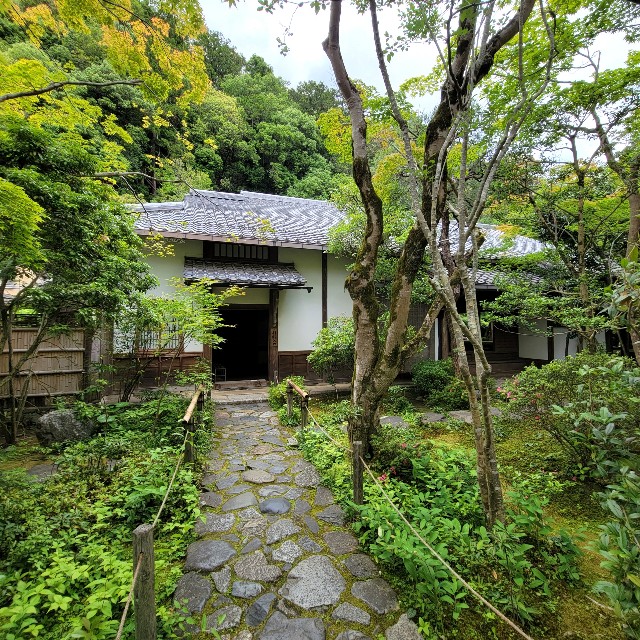 f:id:atoriatoriatori:20220623100644j:image