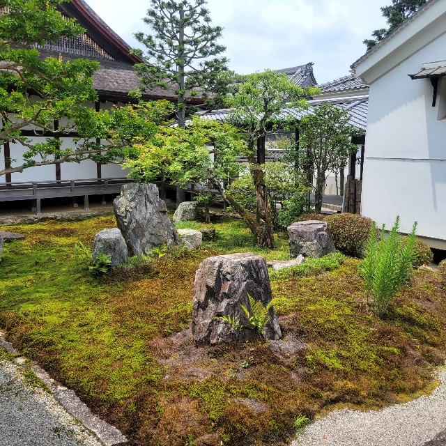 f:id:atoriatoriatori:20220711204911j:image