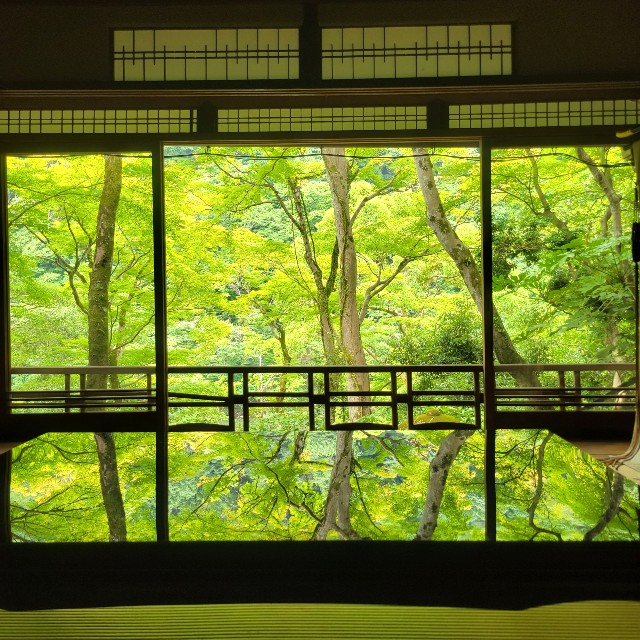 f:id:atoriatoriatori:20220720212507j:image