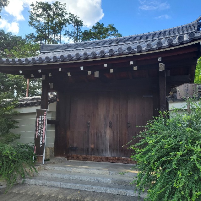f:id:atoriatoriatori:20220729103924j:image