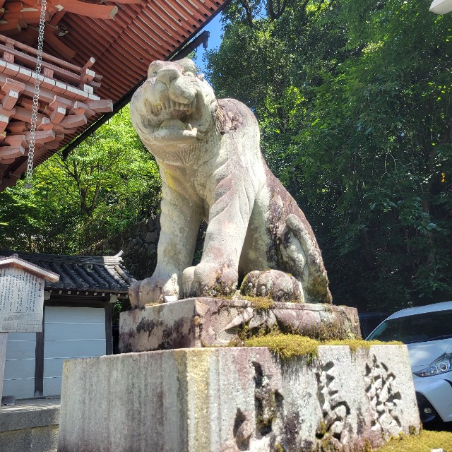 f:id:atoriatoriatori:20220812110418j:image