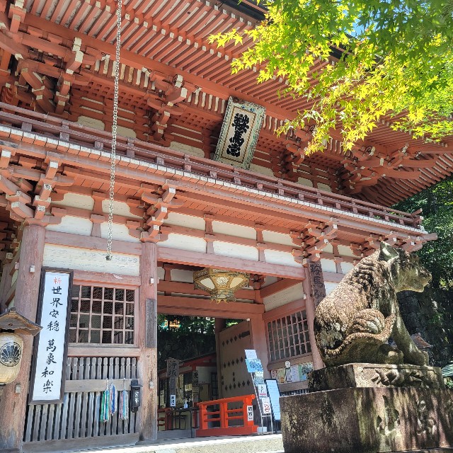 f:id:atoriatoriatori:20220812110426j:image