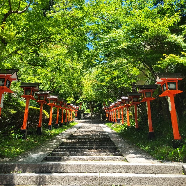 f:id:atoriatoriatori:20220812204634j:image