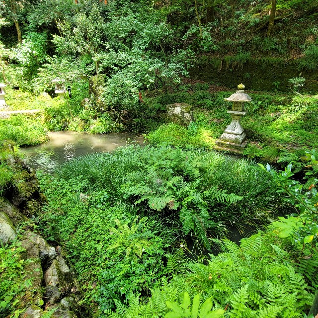 f:id:atoriatoriatori:20220812204831j:image