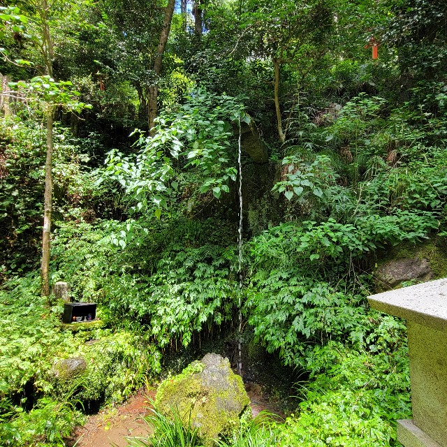 f:id:atoriatoriatori:20220812204839j:image