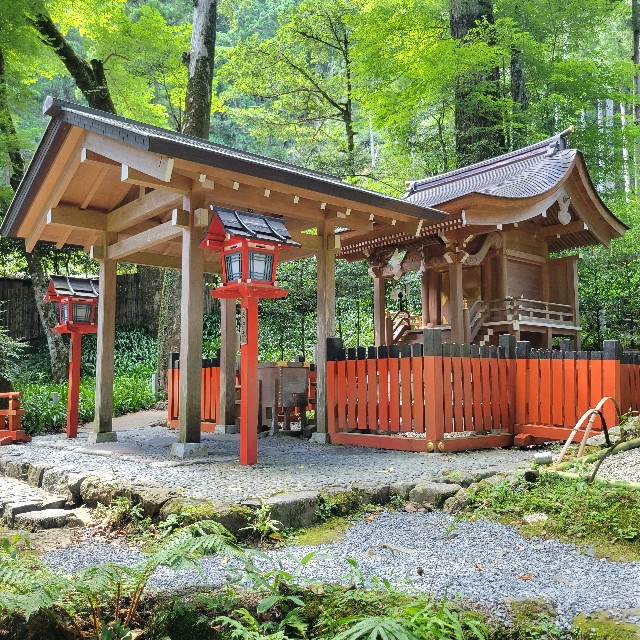 f:id:atoriatoriatori:20220821095205j:image