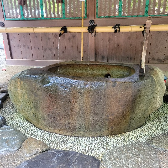 f:id:atoriatoriatori:20220824103546j:image