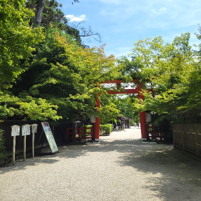 f:id:atoriatoriatori:20220824104109j:image