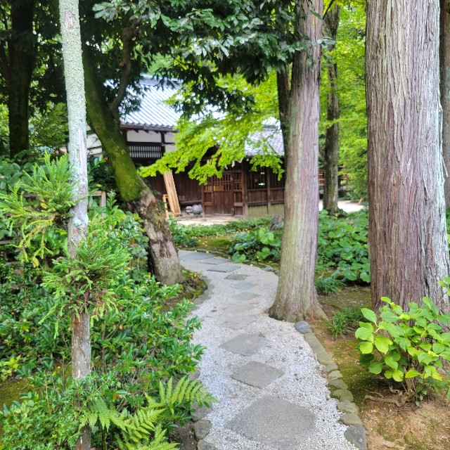 f:id:atoriatoriatori:20220824150941j:image