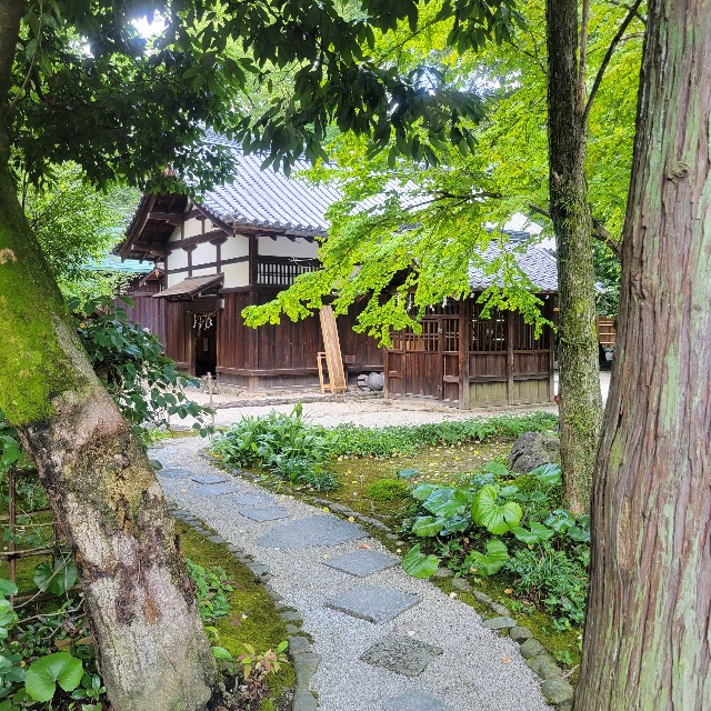 f:id:atoriatoriatori:20220824150948j:image