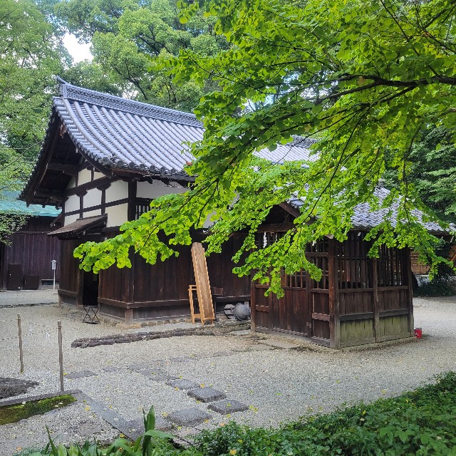 f:id:atoriatoriatori:20220824151223j:image