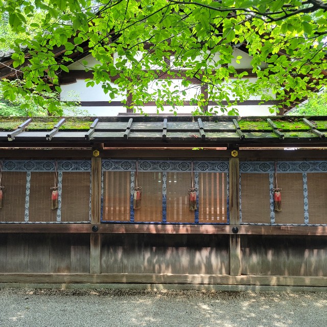 f:id:atoriatoriatori:20220824153918j:image