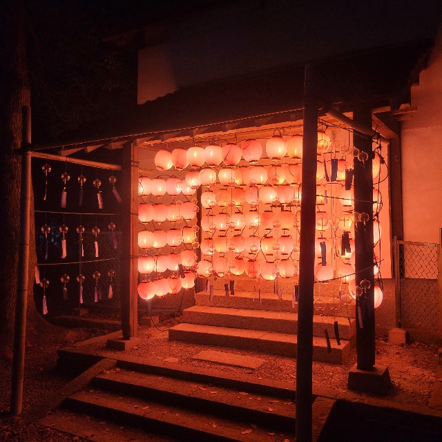 f:id:atoriatoriatori:20220831163120j:image f:id:atoriatoriatori:20220831163120j:image