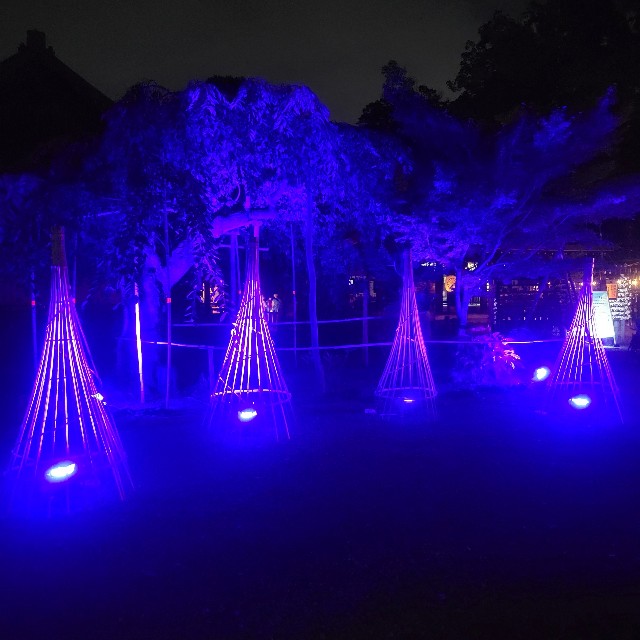 f:id:atoriatoriatori:20220831170236j:image f:id:atoriatoriatori:20220831170236j:image