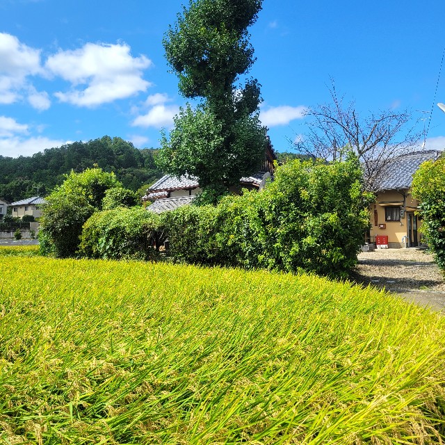 f:id:atoriatoriatori:20220913084011j:image