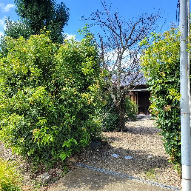 f:id:atoriatoriatori:20220913084019j:image