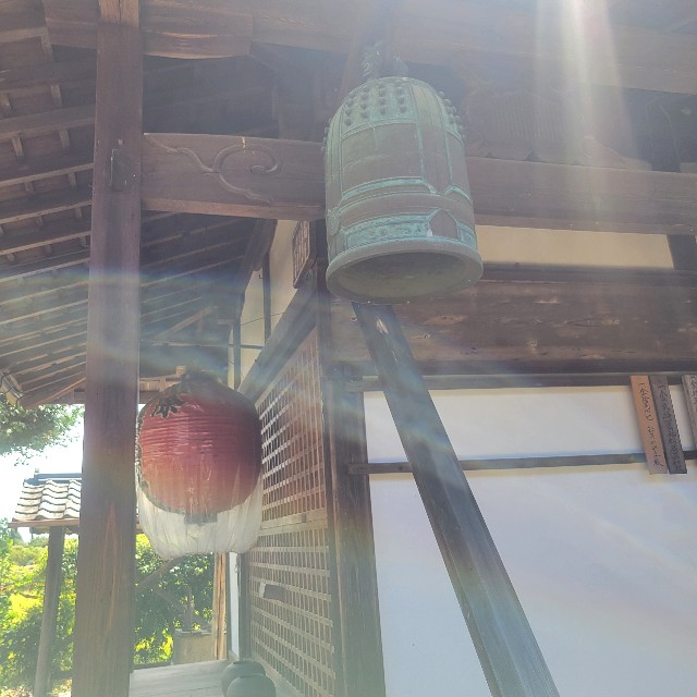 f:id:atoriatoriatori:20220913085526j:image