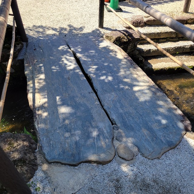 f:id:atoriatoriatori:20220920112642j:image