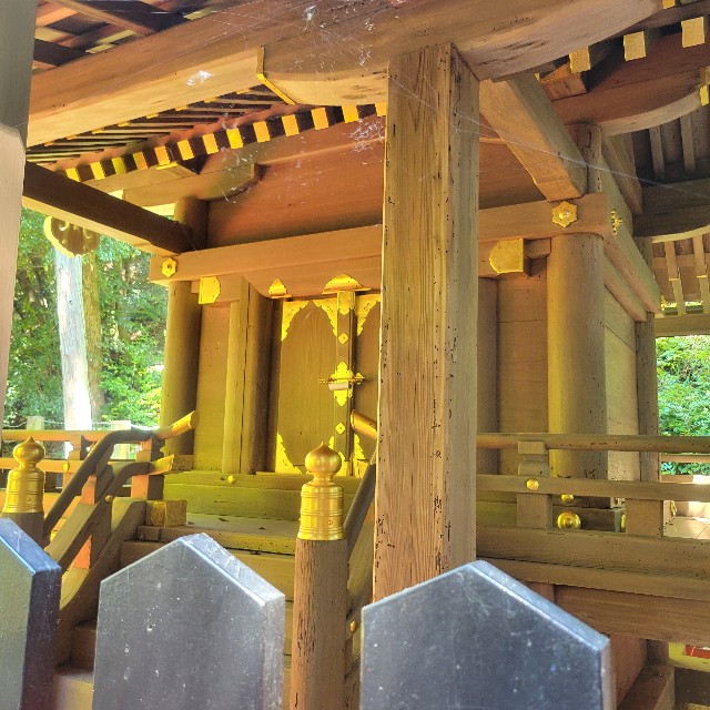 f:id:atoriatoriatori:20220922165018j:image