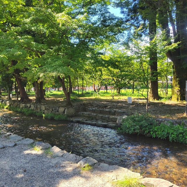 f:id:atoriatoriatori:20220922172940j:image