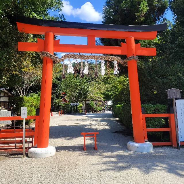 f:id:atoriatoriatori:20220923085717j:image