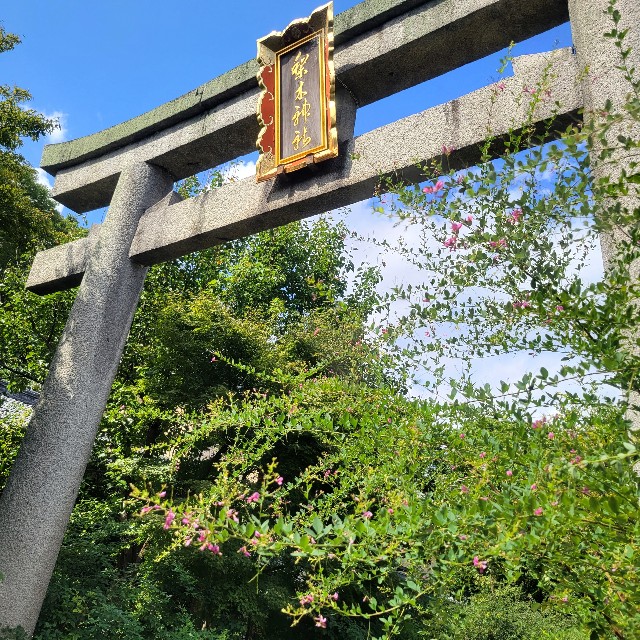 f:id:atoriatoriatori:20220927083639j:image