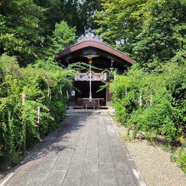 f:id:atoriatoriatori:20220927084633j:image