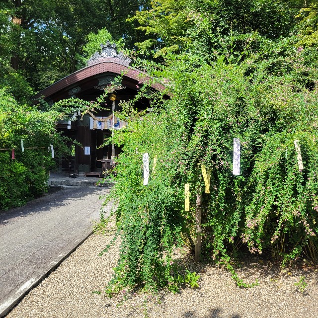 f:id:atoriatoriatori:20220927091023j:image