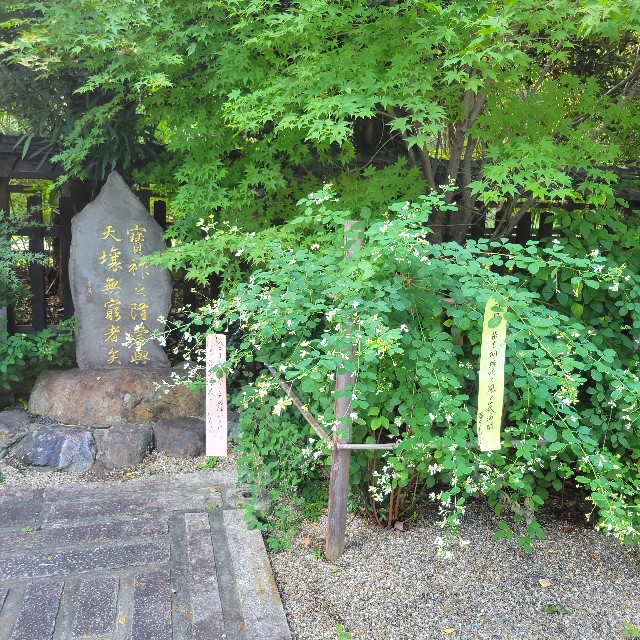 f:id:atoriatoriatori:20220927102540j:image