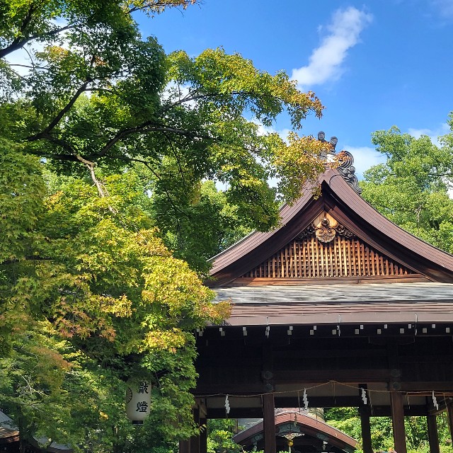 f:id:atoriatoriatori:20220927102823j:image