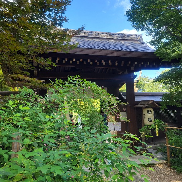 f:id:atoriatoriatori:20220927102830j:image