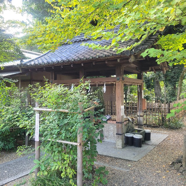 f:id:atoriatoriatori:20220927103508j:image