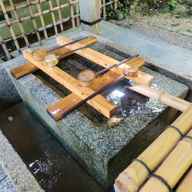 f:id:atoriatoriatori:20220927103515j:image