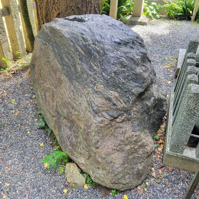 f:id:atoriatoriatori:20221001174126j:image