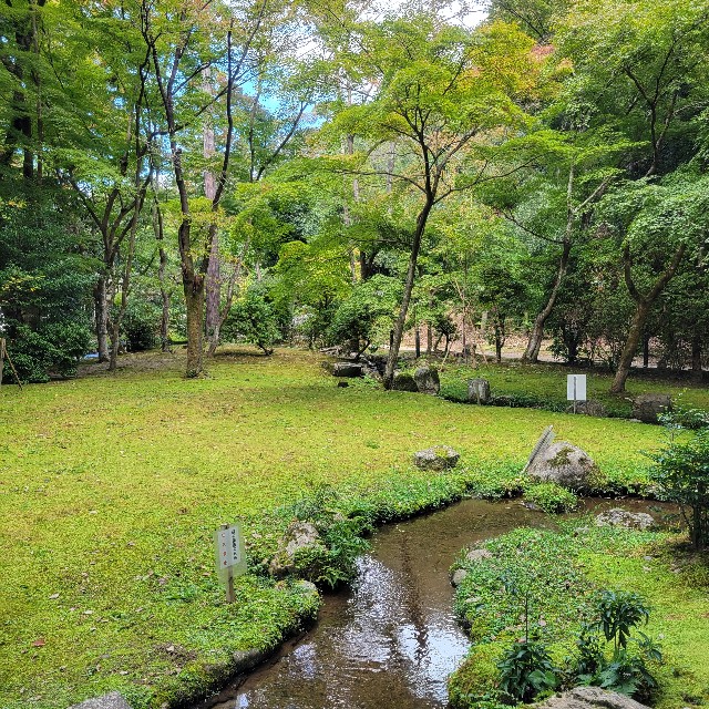 f:id:atoriatoriatori:20221105223624j:image f:id:atoriatoriatori:20221105223624j:image