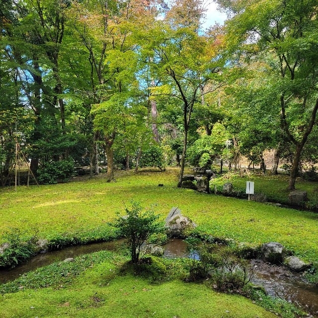 f:id:atoriatoriatori:20221105223634j:image f:id:atoriatoriatori:20221105223634j:image