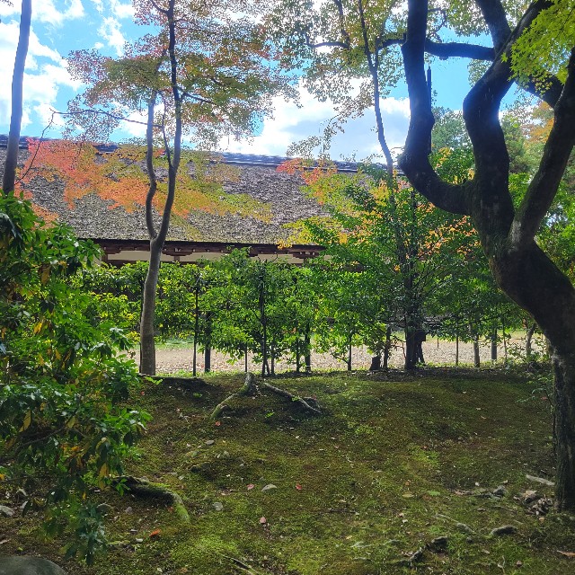 f:id:atoriatoriatori:20221105223645j:image f:id:atoriatoriatori:20221105223645j:image