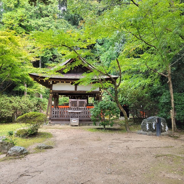 f:id:atoriatoriatori:20221105223652j:image f:id:atoriatoriatori:20221105223652j:image