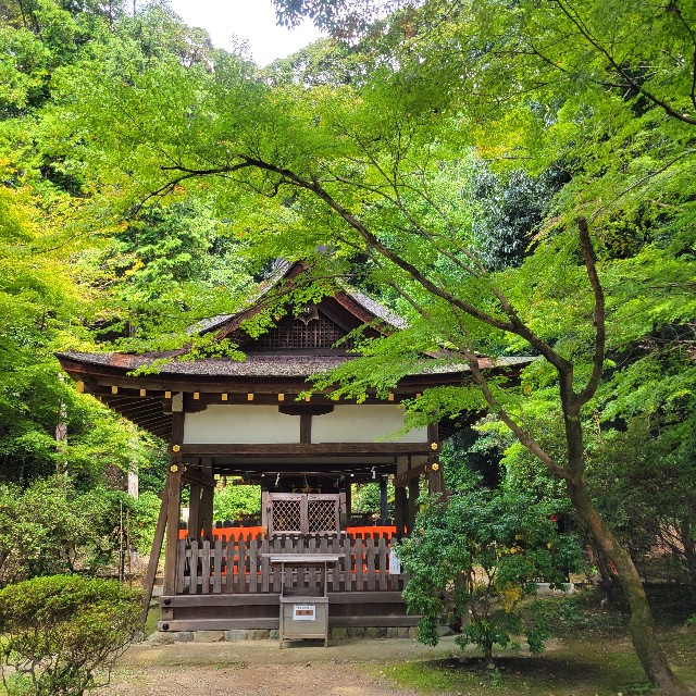 f:id:atoriatoriatori:20221105224438j:image f:id:atoriatoriatori:20221105224438j:image