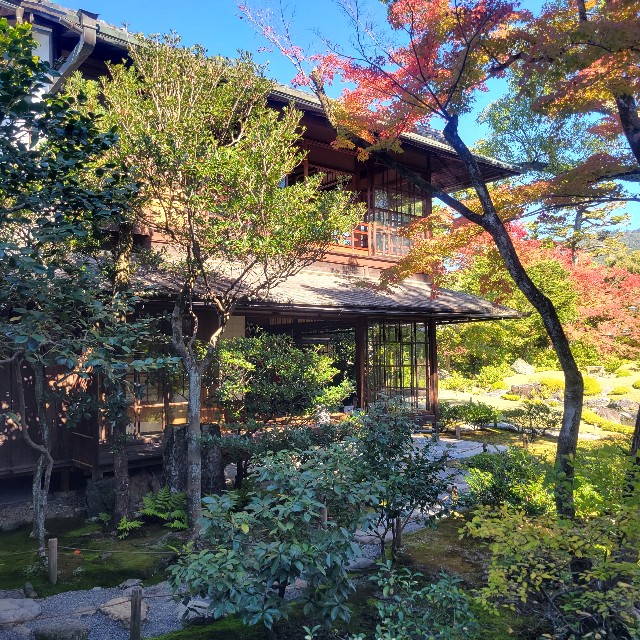 f:id:atoriatoriatori:20221114120854j:image f:id:atoriatoriatori:20221114120854j:image