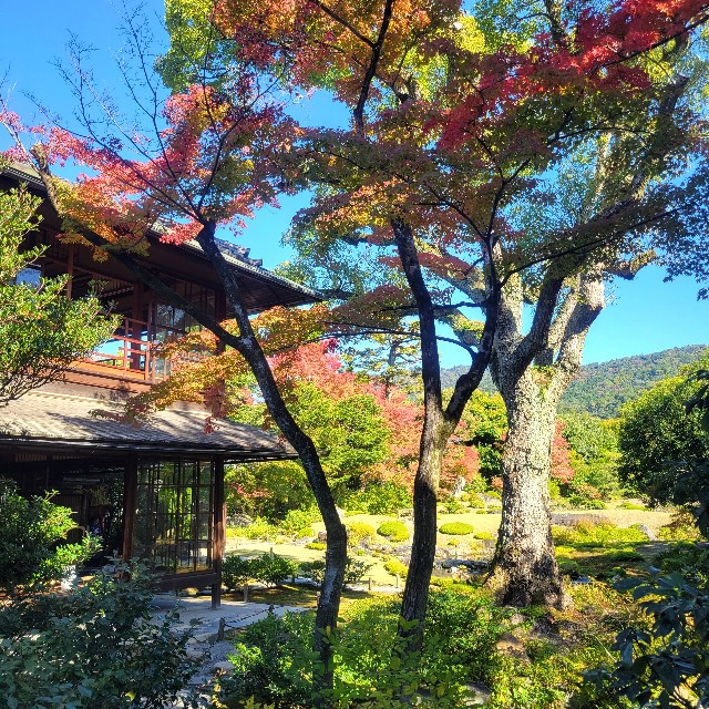 f:id:atoriatoriatori:20221114120901j:image f:id:atoriatoriatori:20221114120901j:image