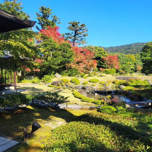 f:id:atoriatoriatori:20221114120912j:image f:id:atoriatoriatori:20221114120912j:image